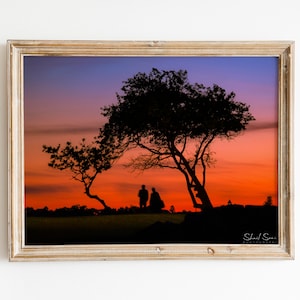 Sunset silhouette of trees, Beautiful sunset sky colors, Sunset sky, Tree silhouette, Landscape photo, Nature photo, INSTANT DOWNLOAD