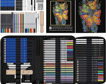  Prina 76 Pack Drawing Set Sketching Kit, Pro Art Supplies with  3-Color Sketchbook, Include Tutorial, Colored, Graphite, Charcoal,  Watercolor & Metallic Pencil, for Artists Adults Teens Beginner : Arts,  Crafts
