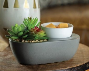 Succulent ArtScents Wax Warmer/ Warmer with Soy Melts/ Silicone Liner