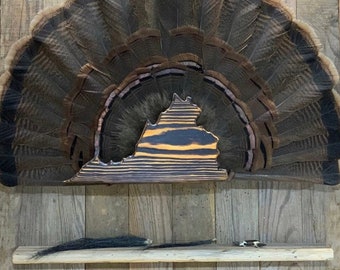 May include: A brown turkey tail fan mounted on a wooden plaque shaped like the state of Virginia. The fan is displayed on a wooden wall with a shelf below.