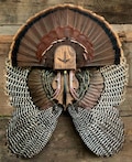Fan and Wing Mount Plaque