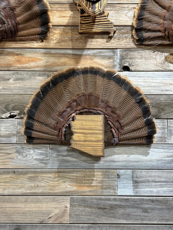 Arizona Turkey Fan Plaque - Etsy