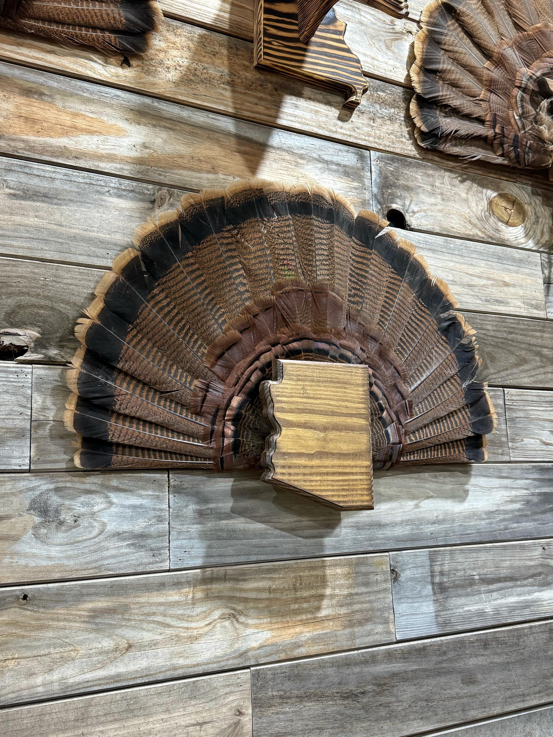 Arizona Turkey Fan Plaque - Etsy