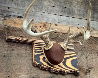 Oklahoma Antler Mounting Kit (Instructional Video) (All States Available)