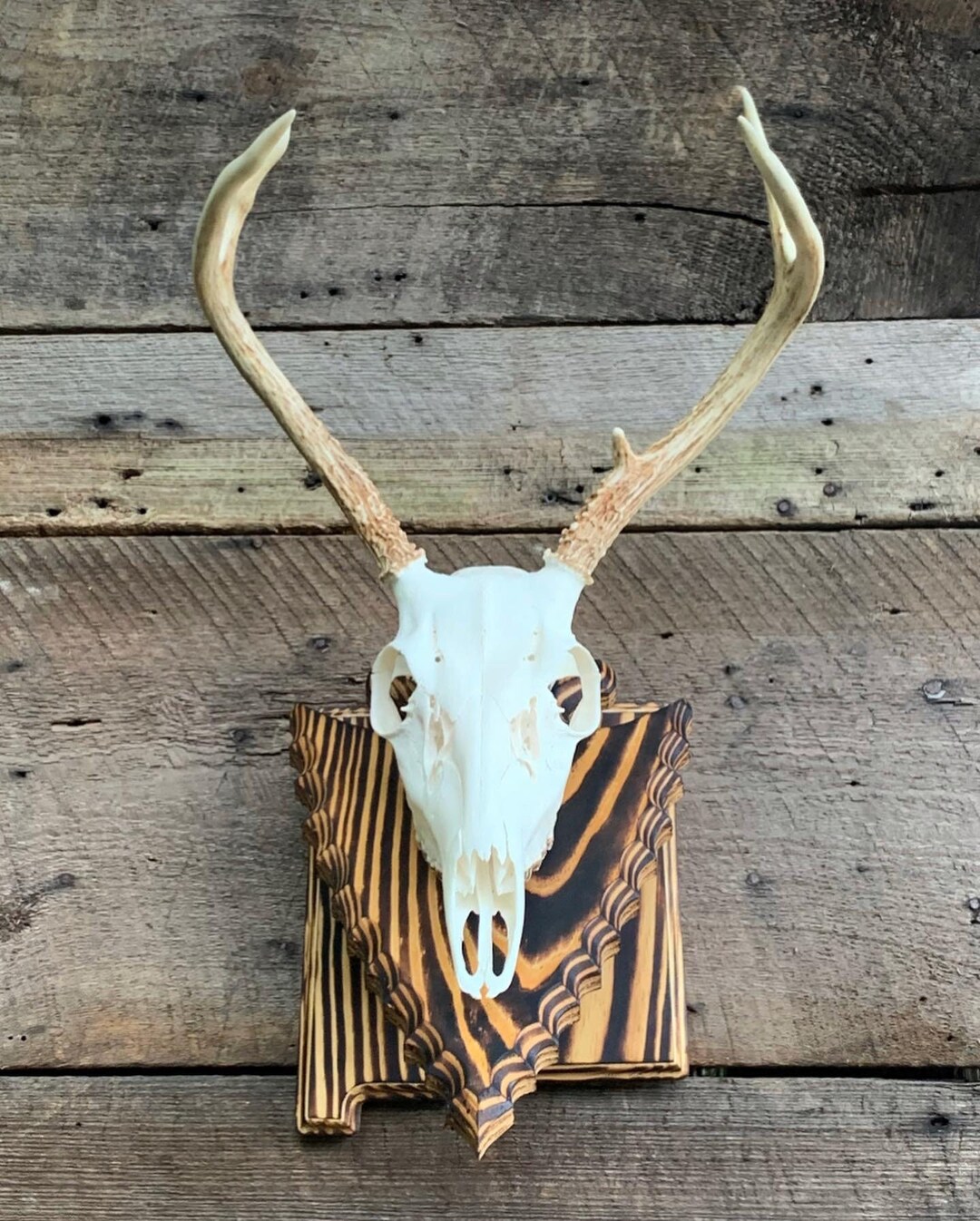 New Mexico Wall Pedestal - Etsy