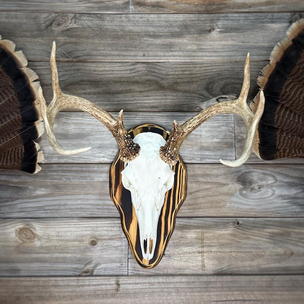 Deer Skull / European Mount Flat Plaque
