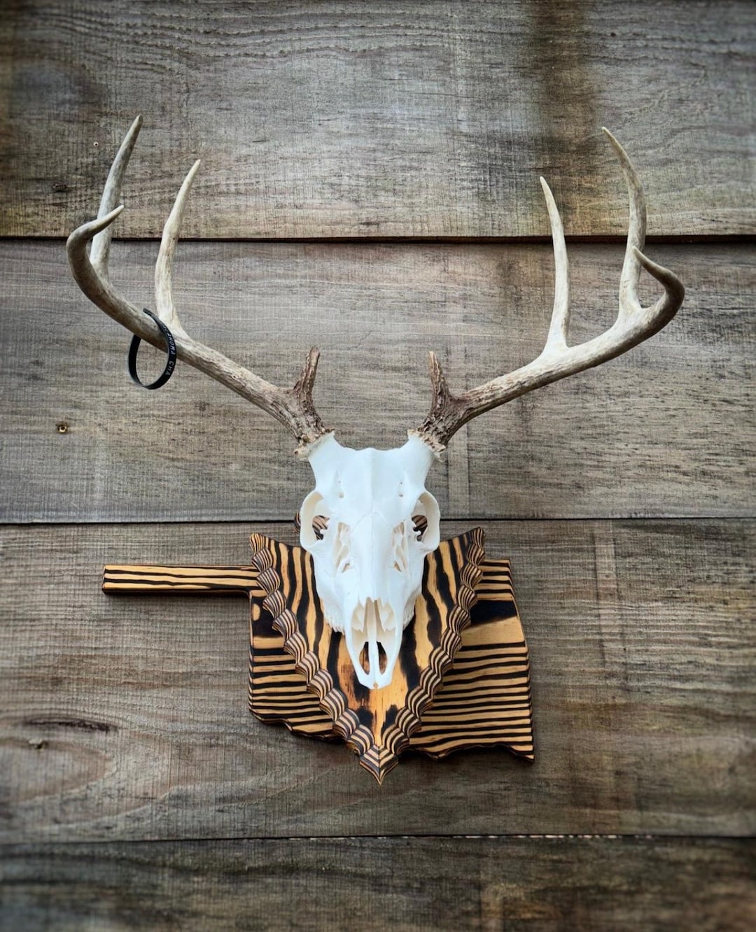 European Deer Mount Pedestal Plaque
