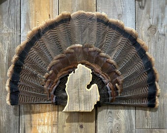 Michigan Turkey Fan Plaque (Lower Peninsula)