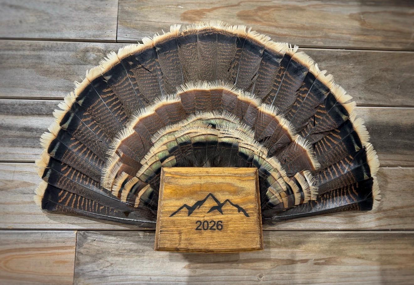 Colorado Turkey Fan Plaque - Etsy