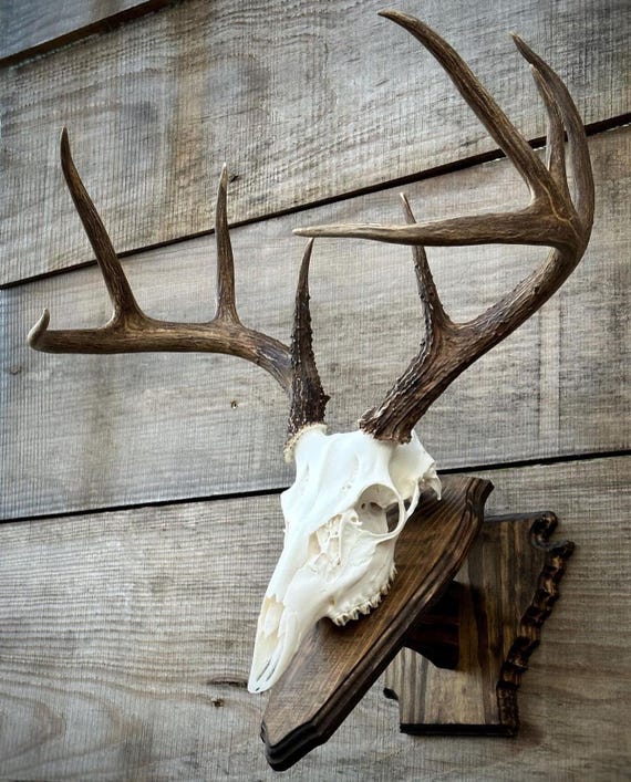 Arkansas Wall Pedestal - Etsy Singapore