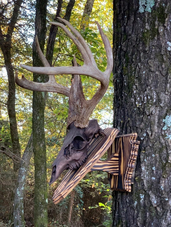 Arkansas Wall Pedestal - Etsy Singapore