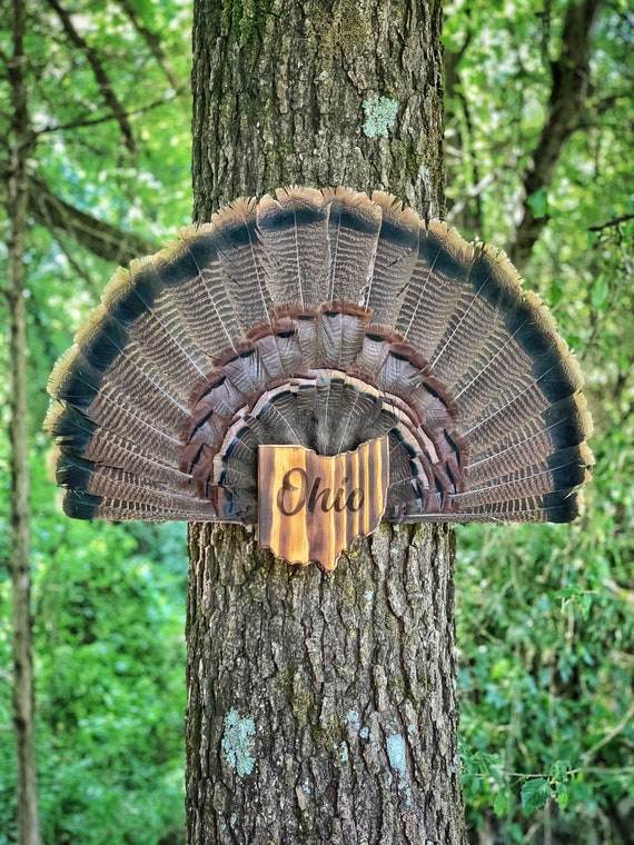 Ohio Turkey Fan Plaque - Etsy