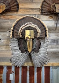 State Turkey Fan/Wing Plaque
