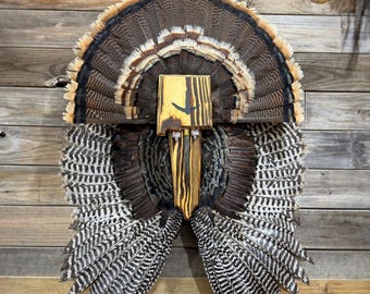 Placa de abanico/ala de pavo estatal