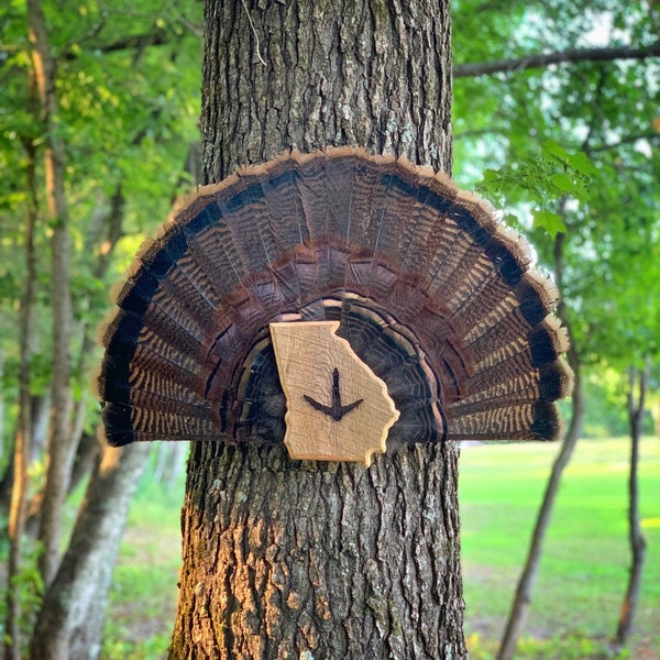 Turkey Fan Plaque Etsy