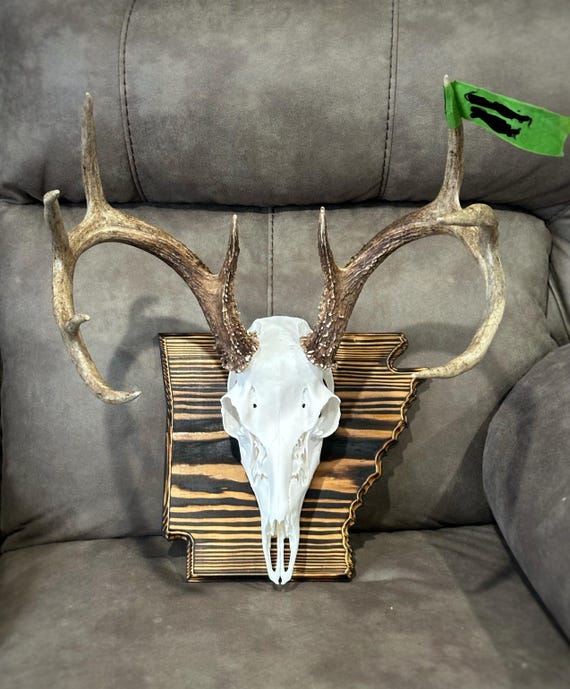 Arkansas Large State Plaque - Etsy
