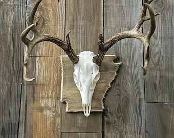 Arkansas Large State Plaque - Etsy