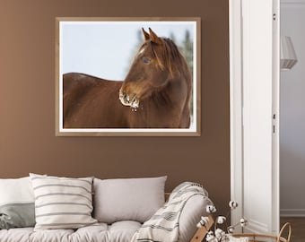 Pferde Winterportrait: Manitoba Ranch Fotokunst (Digitaler Download)