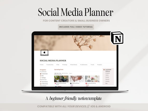 Notion Social Media Planner, Content Creator Notion Template, Instagram TikTok Youtube Notion Planner, Social Media Content Calendar