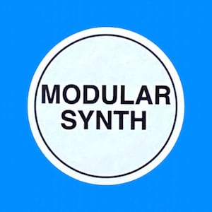 May include: A white circle with a black border and the text "MODULAR SYNTH" in black.