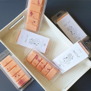 Apfel Zimt Duftwachs Waxmelt Snapbar