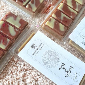 Netflix & Nom Scented Wax Melt Snapbar