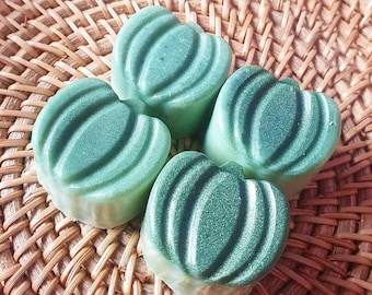 Pumpkin Patch Scented Wax Melt