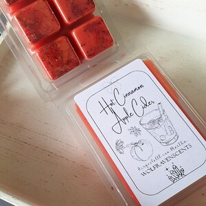 Hot Cinnamon Apple Cider Duftwachs Waxmelt Snapbar