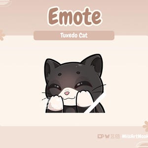 Tuxedo Cat Shy | Cute Cat Emote Premade for Twitch and Discord - Digital Download | Cute Cats, Twitch Assets
