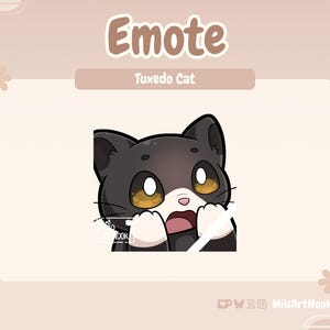 Tuxedo Cat Shocked | Cute Cat Emote Premade for Twitch and Discord - Digital Download | Cute Cats, Twitch Assets