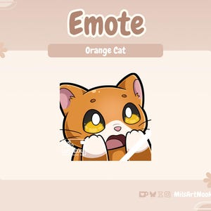 Orange Cat Shocked | Cute Cat Emote Premade for Twitch and Discord - Digital Download | Cute Cats, Twitch Assets