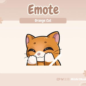 Orange Cat Shy | Cute Cat Emote Premade for Twitch and Discord - Digital Download | Cute Cats, Twitch Assets