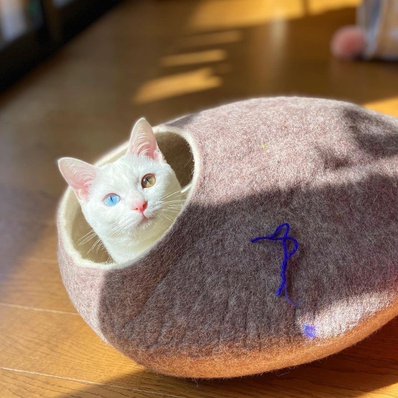 May include: A white cat with blue and brown eyes peeks out of a brown felt cat bed.