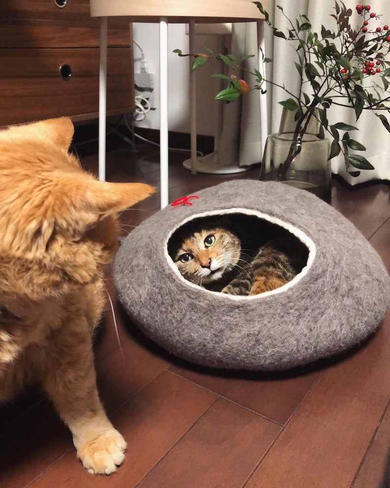 May include: A gray cat bed shaped like a stone with a cat peeking out of the opening. The cat bed is made of felt and has a white trim around the opening.