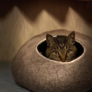 May include: A brown cat with green eyes peeks out of a gray felt cat bed.