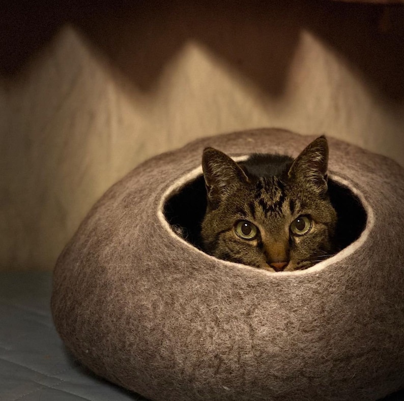 May include: A brown cat with green eyes peeks out of a gray felt cat bed.
