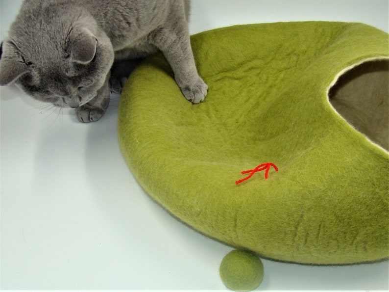 Puede incluir: Un gato gris est&aacute; sentado junto a una cama para gatos de fieltro verde con un interior beige. La cama tiene un peque&ntilde;o agujero para que el gato pueda entrar. Hay una cuerda roja y una bola verde dentro de la cama.