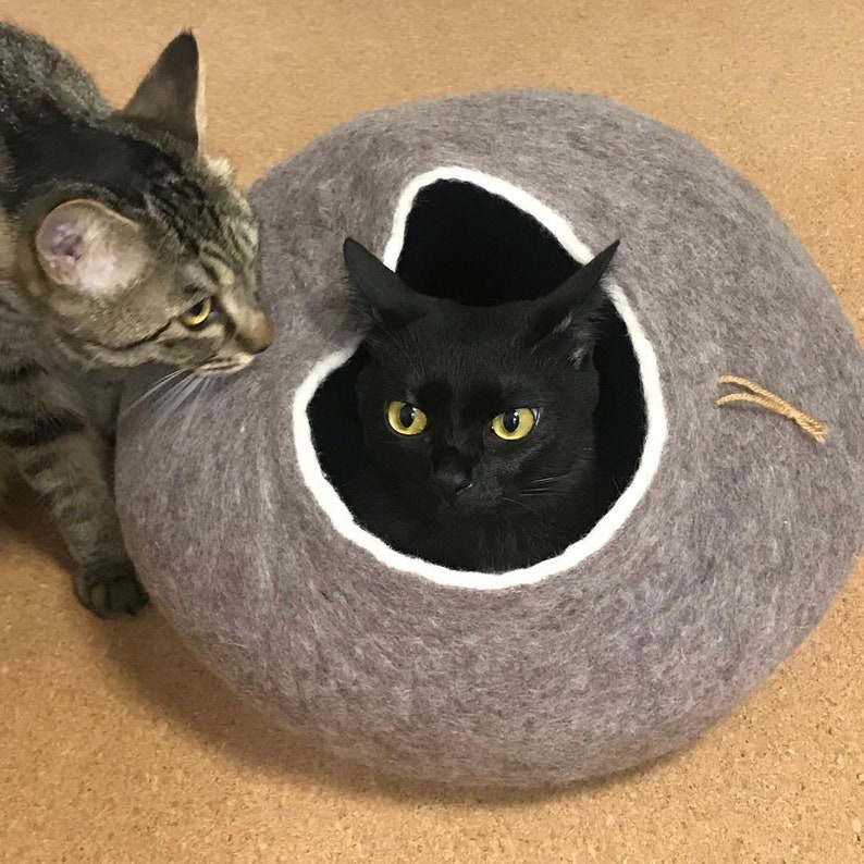 May include: A gray felt cat bed with a black cat inside and a tabby cat looking in. The cat bed has a white trim around the opening.