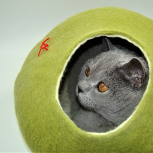 Puede incluir: Un gato gris con ojos naranjas asoma desde una cama de gato de fieltro verde.