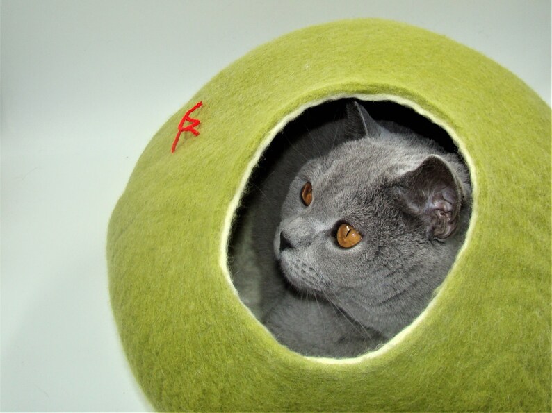 Puede incluir: Un gato gris con ojos naranjas asoma desde una cama de gato de fieltro verde.