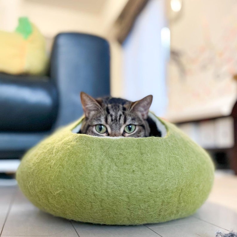 Puede incluir: Un gato atigrado asoma la cabeza desde una cama para gatos de fieltro verde. La cama para gatos tiene forma de cuenco y una textura suave y peluda.