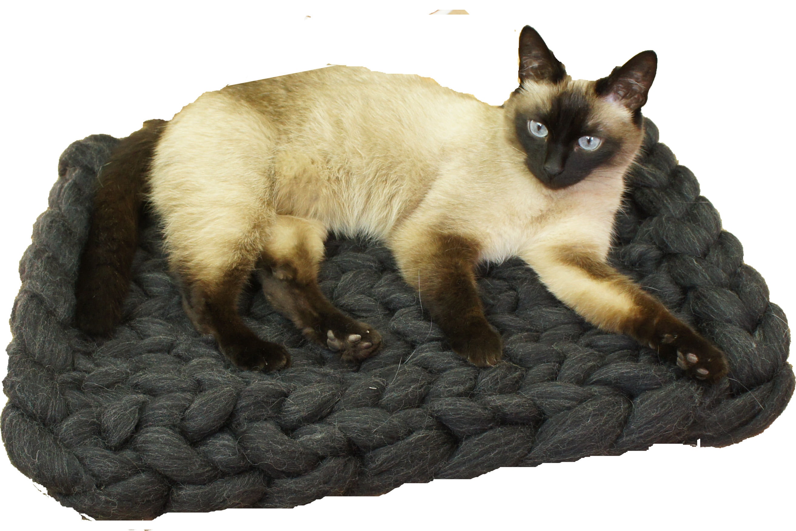 Chunky Cat Bed Wool Pet Bed Dog Bed Chunky Cat Dog Bed Etsy UK