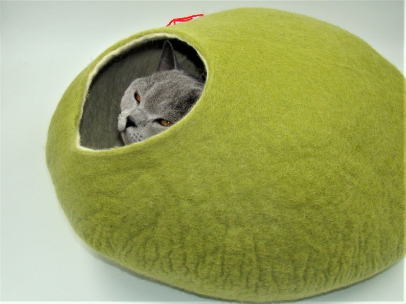 Puede incluir: Una cama para gatos de fieltro verde con forma de huevo con un gato dentro. La cama para gatos tiene una abertura de fieltro blanco para que el gato pueda entrar.