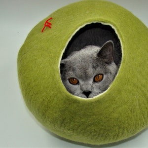 Puede incluir: Un gato gris con ojos verdes asoma desde una cama para gatos de fieltro verde.