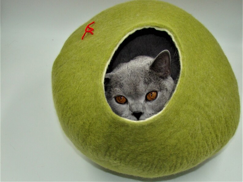 Puede incluir: Un gato gris con ojos verdes asoma desde una cama para gatos de fieltro verde.