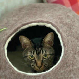 May include: A brown cat with black stripes peeks out of a brown felt cat bed.