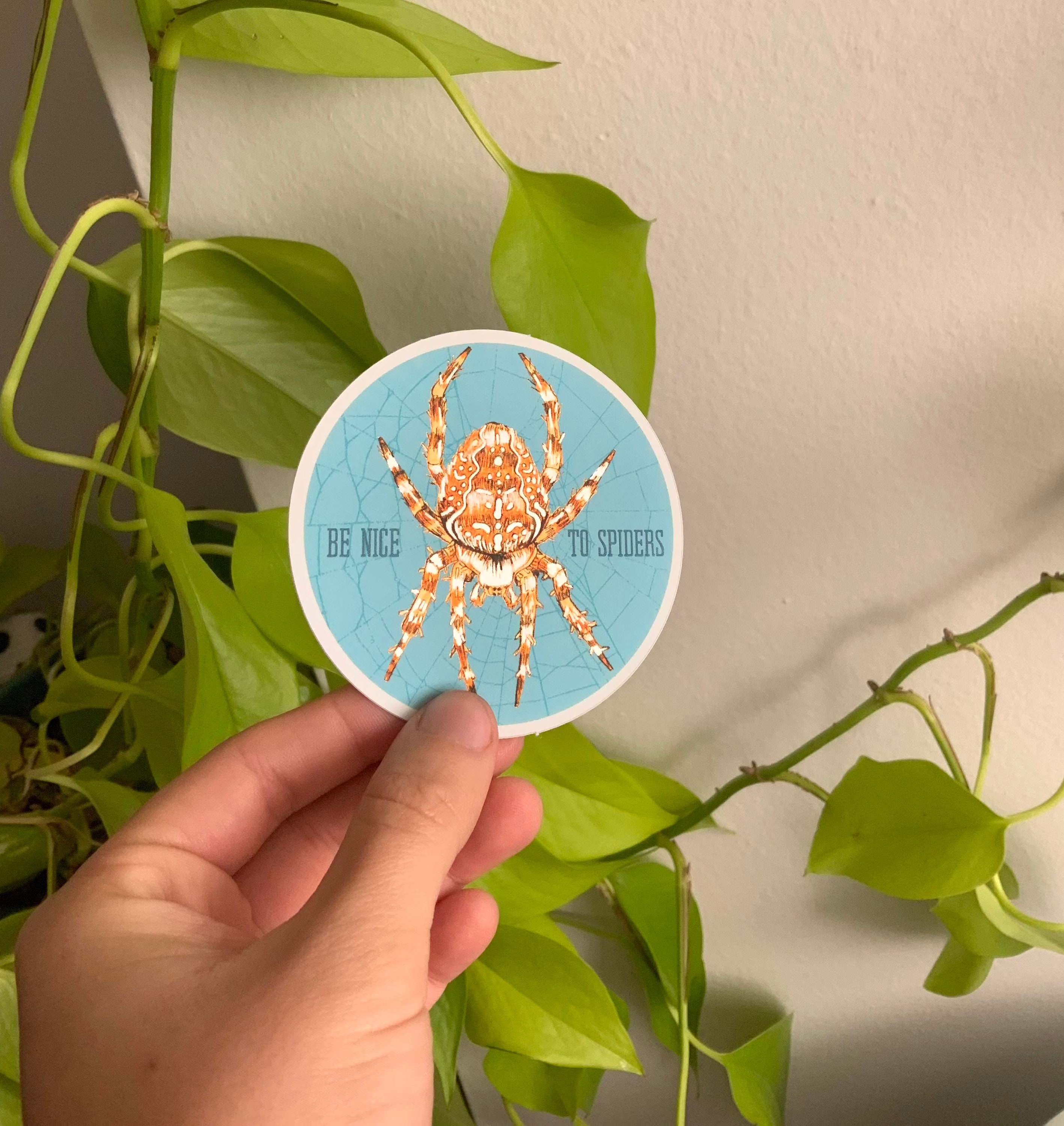 Be Nice to Spiders | Vinyl Sticker - Etsy