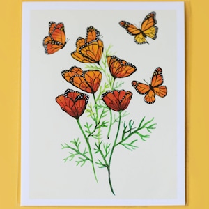 Mohnblume Monarchfalter