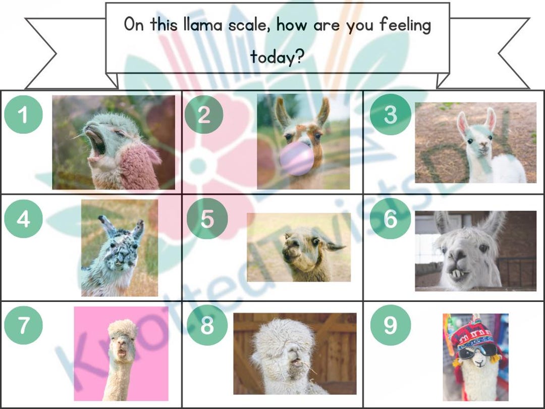 Set of 10 SEL Check in Graphics for Teachers to Use in Classroom ...