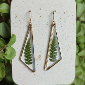 Brass and dried fern earrings